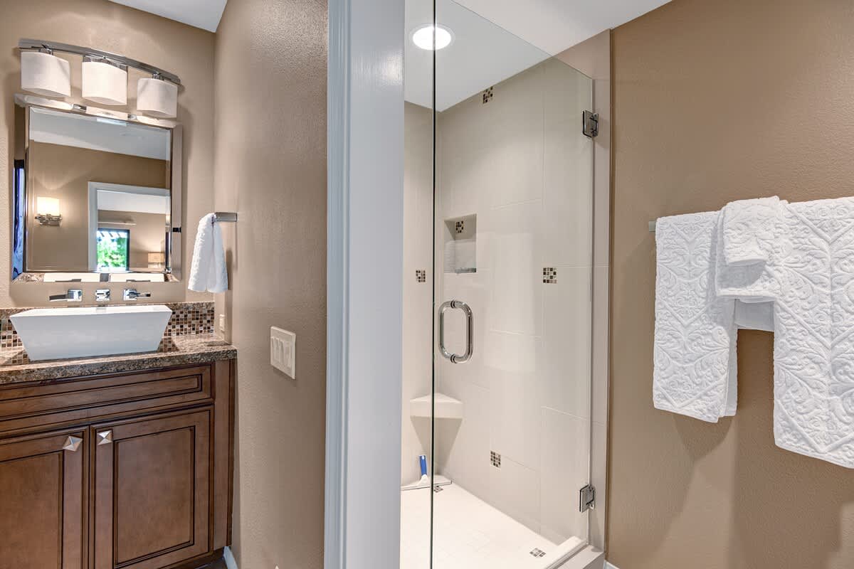 MAIN BEDROOM SHOWER