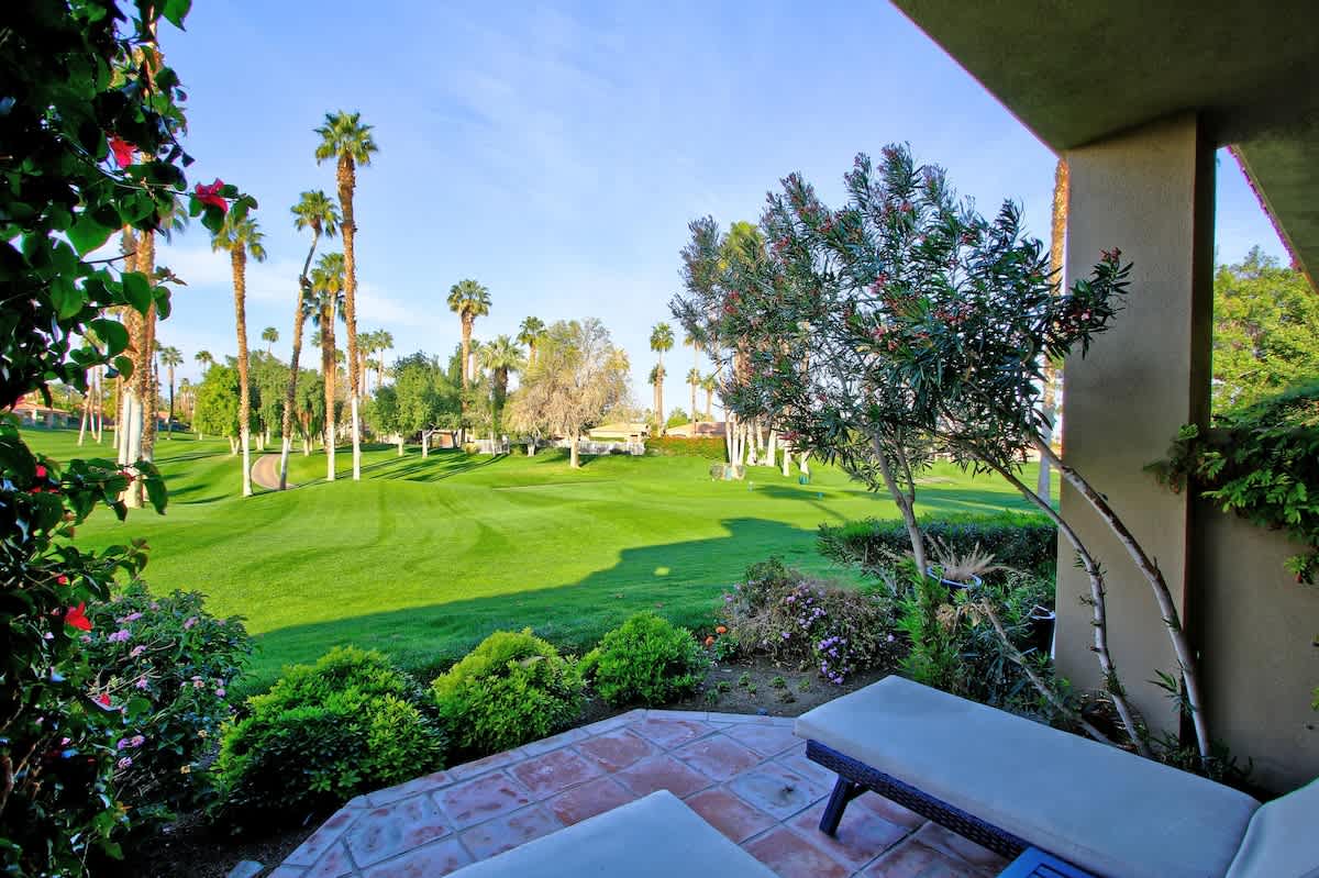 Patio View