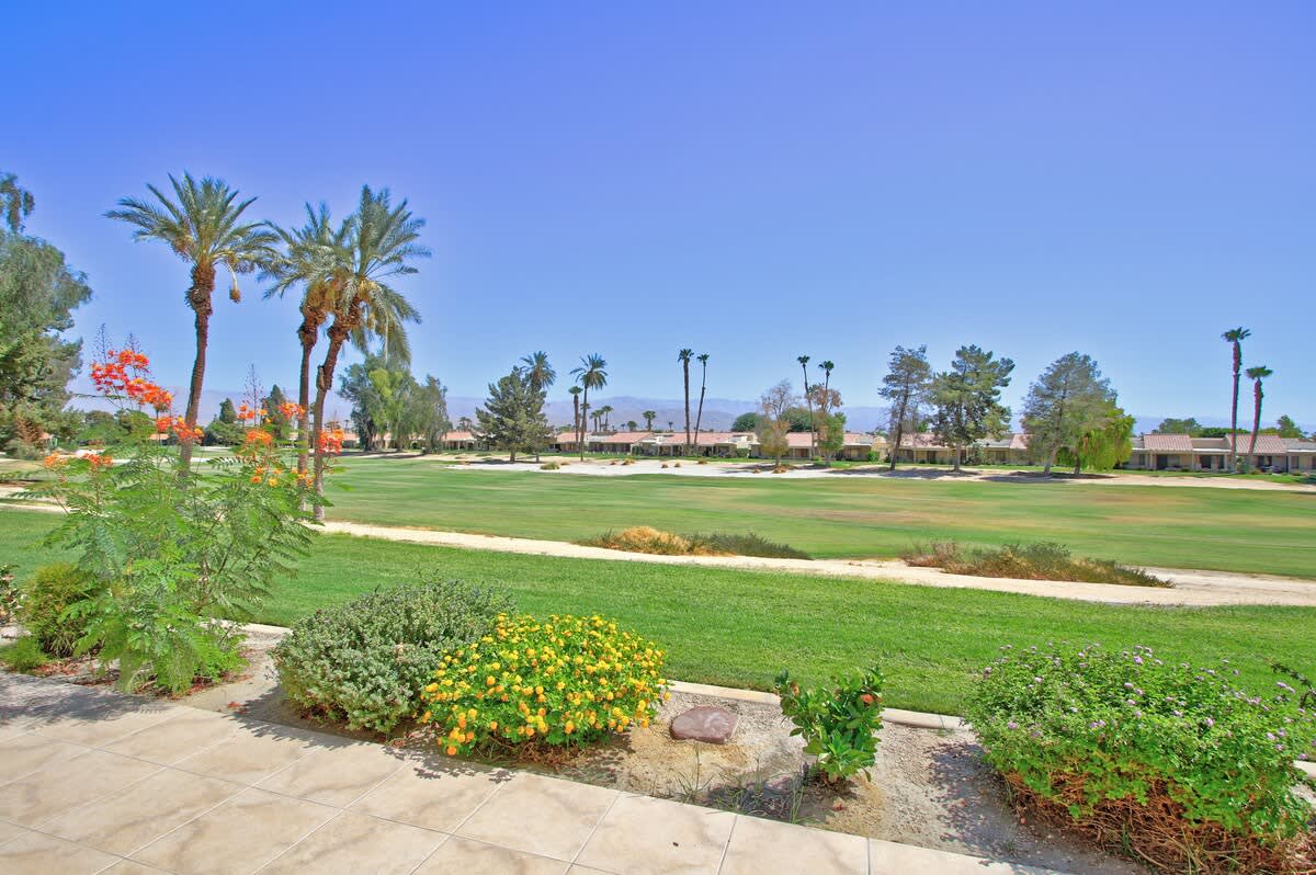 Nature View